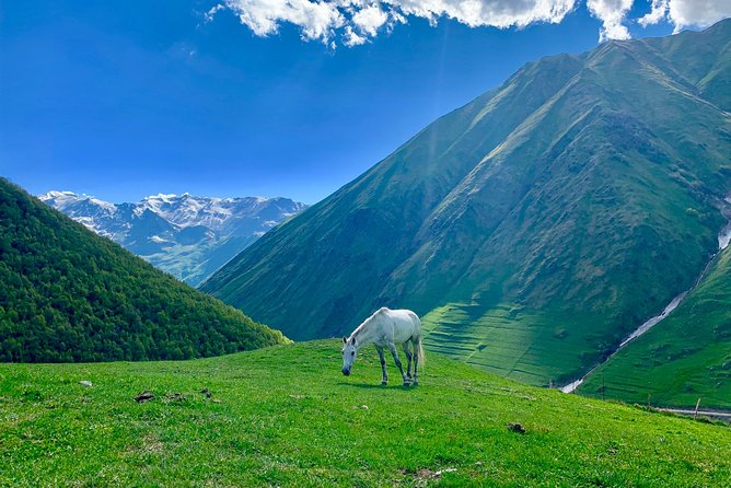 ️Private Full-Day Tour to Mtskheta and Kazbegi(stepantsminda) from Tbilisi - Jvari Church above Mtskheta