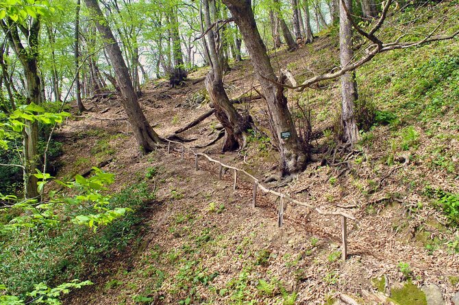 Private Hiking Tour to Machakhela National Park from Batumi - Who will enjoy this Batumi day trip