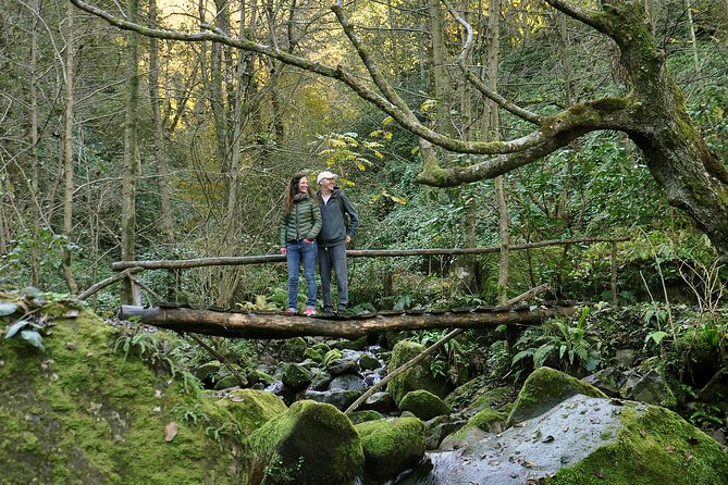 Private Hiking Tour to Mtirala National Park from Batumi - What the 6 km Chestnut Trail feels like