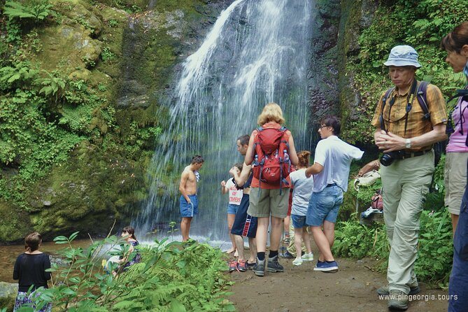 Private Hiking Tour to Mtirala National Park from Batumi - A guide-led walk with local context