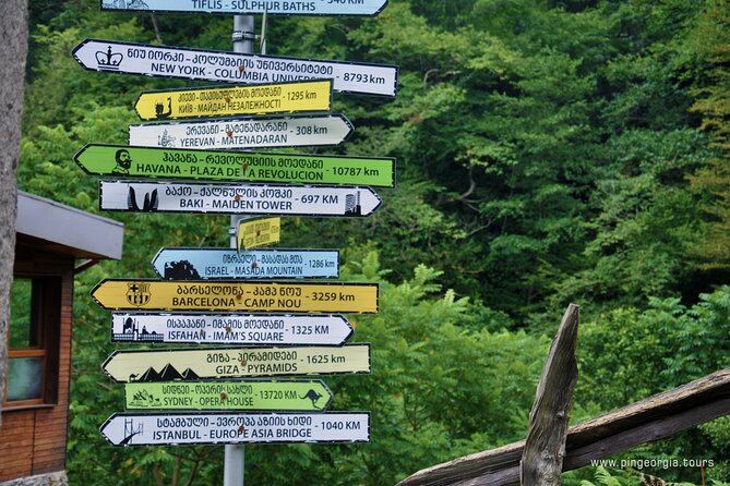 Private Hiking Tour to Mtirala National Park from Batumi - Optional zip-line, but no pressure to add it