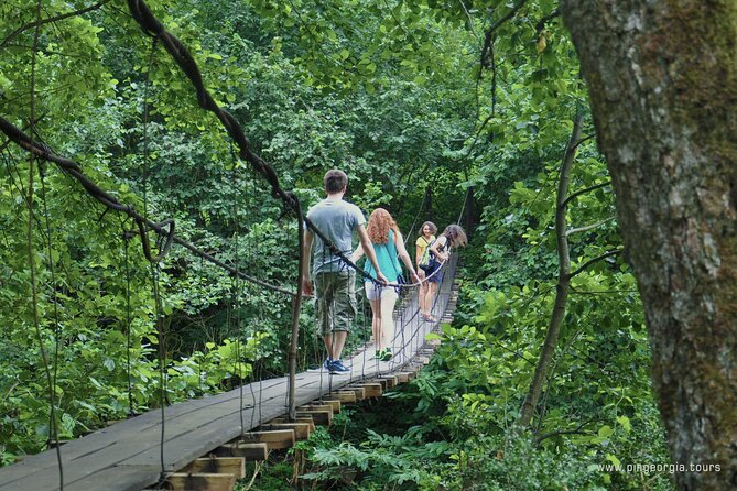 Private Hiking Tour to Mtirala National Park from Batumi - Who will enjoy this trip most?