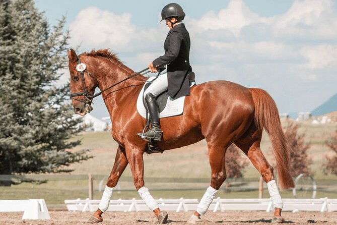 Private Horse Ridding tour - Key points at a glance