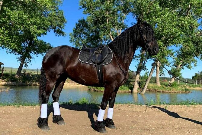Private Horse Ridding tour - What happens at Lilo Mall