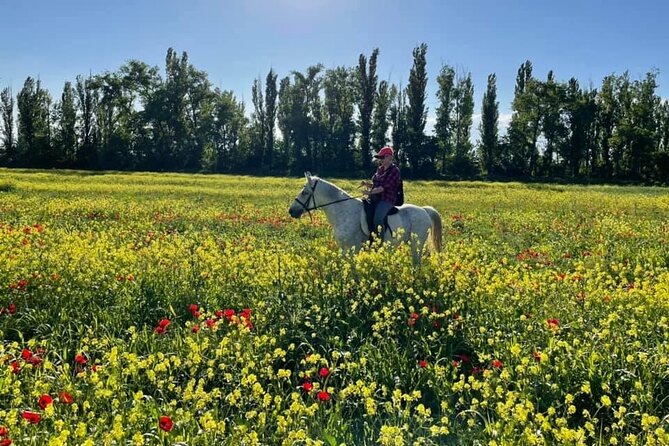 Private Horse Ridding tour - Who will enjoy this most