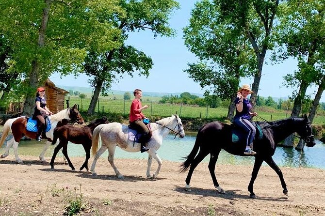 Private Horse Ridding tour - One hour in the saddle