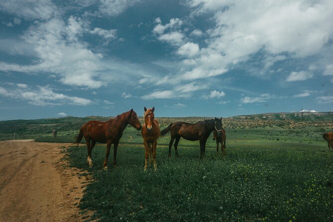 Private Horse Riding Adventure in Tbilisi - Booking, timing, and cancellation details