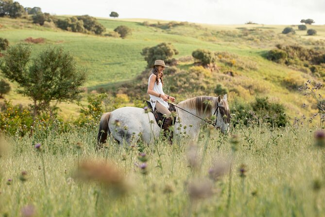 Private Horse Riding Adventure in Tbilisi - Riding the open paths around Tbilisi