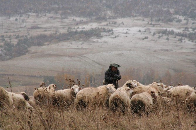 Private Tour to Kazbegi from Tbilisi - Key points to know before booking