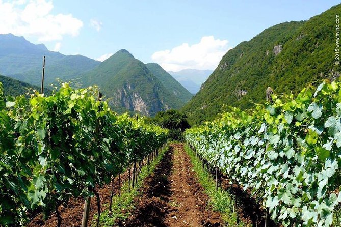 Private Tour to Mtskheta and Georgian Wine Tasting from Tbilisi - Seven hours and private transport make the day easy