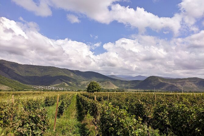 RACHA region with TSKHRAJVARI and wine tasting from Kutaisi - Finishing with wine at Khvanchkara