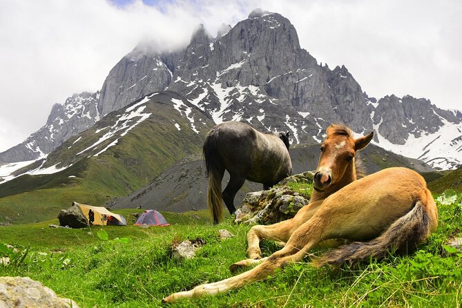 Round Trip Bus Transfer to Juta from Kazbegi - Simple planning tips for a better day