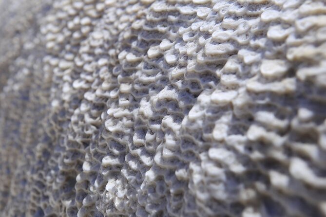 Round-Trip Bus Transfer to Truso Valley from Kazbegi - The 30 to 40 minute ride to Okrokana