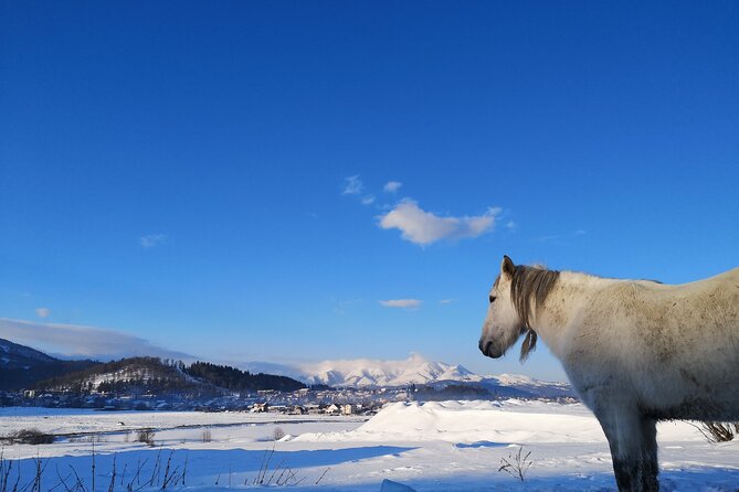 Ski & Snow Tour to Bakuriani from Kutaisi with Borjomi Stop - Weather, snow, and choosing the right season