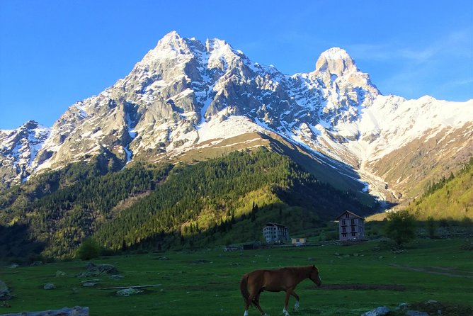Svaneti Mountain Villages 4x4 Safari, tour from Kutaisi - Key points to know before booking