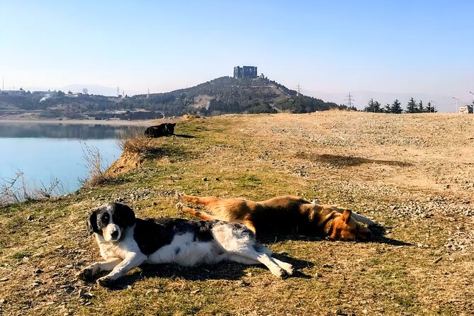 Tbilisi: Sabaduri Forest, Georgian Stonehenge & Bear Sanctuary - Sabaduri Forest and the truth about the snow