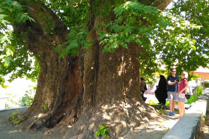 Tour to Kakheti. Sighnaghi –Bodbe Monastery –Tsinandali –Telavi –Winery –Gombori - Kakheti wine and the winery visit