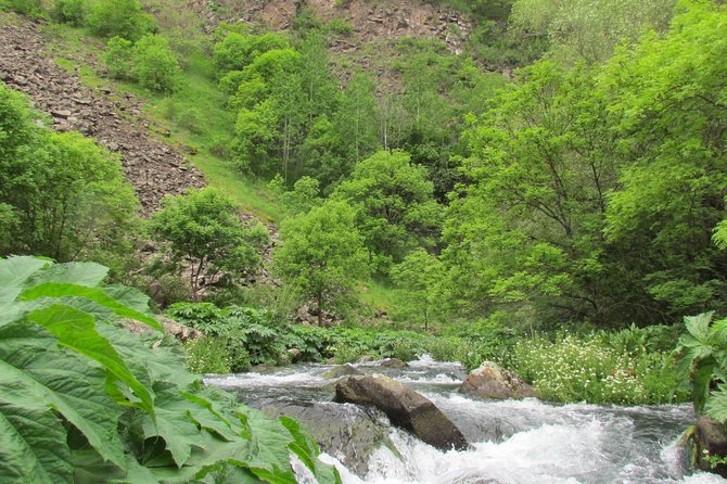 Trip to The Diamond Bridge and Dashbashi Canyon - Fitness, weather, and what to bring