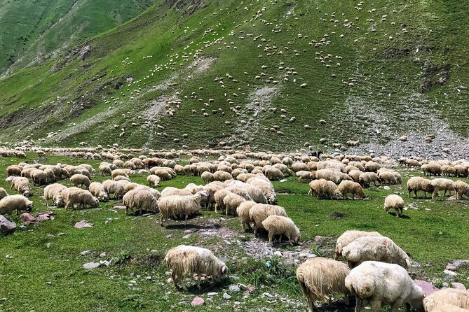 Wild Georgia 4WD PACK Adventure through Kakheti and Kazbegi 2in1 - Day two, following the Georgian Military Highway