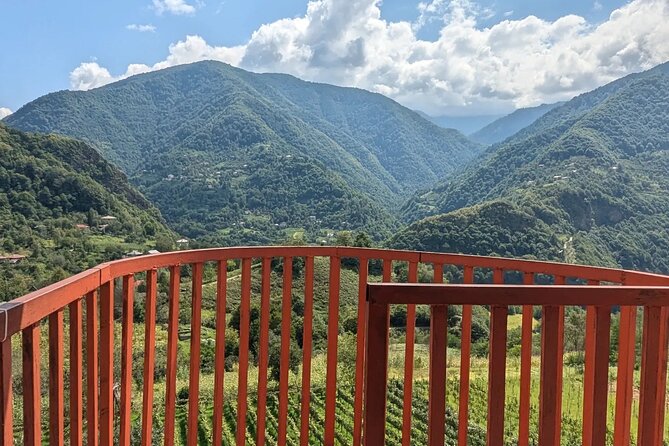 Wine and Dine Tour To Batumi Waterfalls - Mountainous Adjara - The return to Batumi
