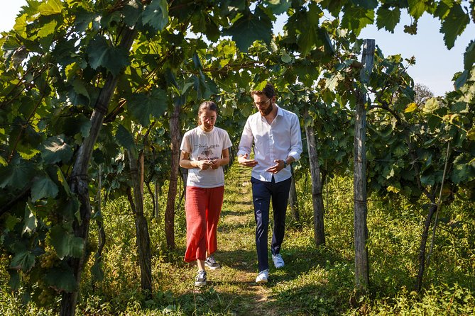 WINE & DINE Tour from Kutaisi - Why Obcha makes a good wine escape from Kutaisi