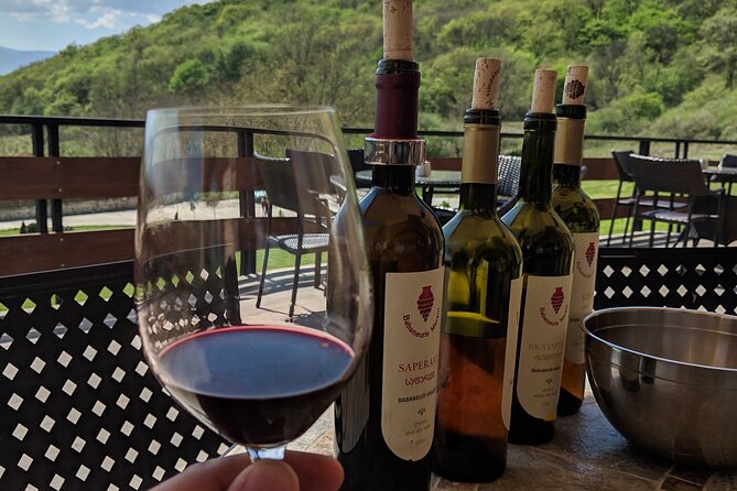 Wine Tasting Tour in Georgia's Cradle of Wine - What the wine program really includes