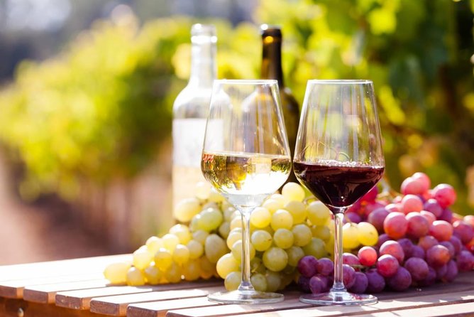 Wine Tasting Tour in Georgia's Cradle of Wine - Day two: Signagi’s museum, khachapuri, horses, and natural wine